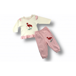 3-6 6-9 9-12 Ay Flamingo Nakışlı Uzun Kollu Sweatli 2li Kız Bebek Takımı 3-6 6-9 9-12 Ay Flamingo Nakışlı Uzun Kollu Sweatli 2li Kız Bebek Takımı