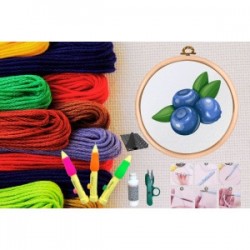 Punch Seti Nakış Seti Kasnaklı Kendin Yap Seti Seri 148 Punch Seti Nakış Seti Kasnaklı Kendin Yap Seti Seri 148