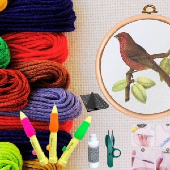 Punch Seti Nakış Seti Kasnaklı Kendin Yap Seti Seri 24