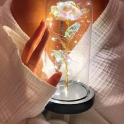 Fanus Teraryum Sonsuzluk Gül Işıklı