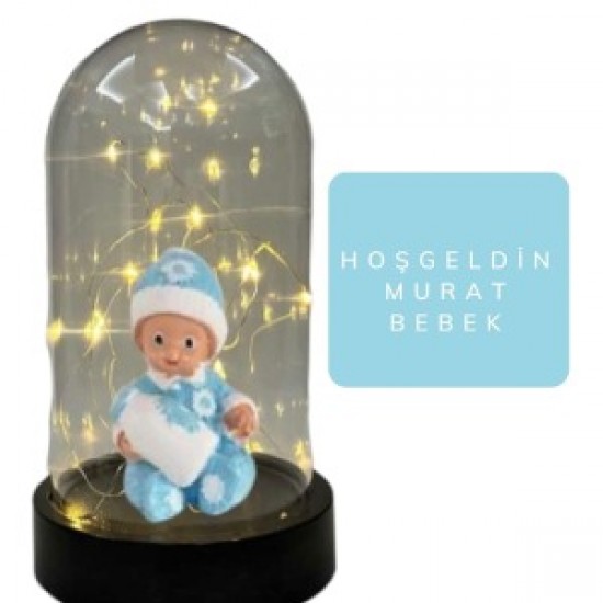 Fanus Teraryum Erkek Bebek