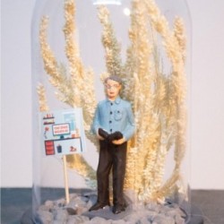 Teraryum Fanus Yeni İş Hediyesi Erkek İş Tebrik Temalı Teraryum Fanus Yeni İş Hediyesi Erkek İş Tebrik Temalı