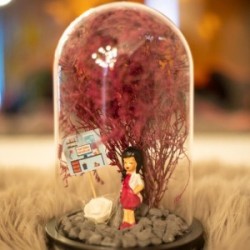 Teraryum Fanus Yeni İş Hediyesi Tebrik Kartlı İş Kadını Temalı Teraryum Fanus Yeni İş Hediyesi Tebrik Kartlı İş Kadını Temalı