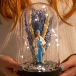 Teraryum Fanus Erkek Doktor İş Hediyesi Işıklı Teraryum Fanus Erkek Doktor İş Hediyesi Işıklı