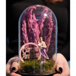 Teraryum Fanus Canım Annem Yazılı Anne Ve Bebek Temalı Hediye Teraryum Fanus Canım Annem Yazılı Anne Ve Bebek Temalı Hediye