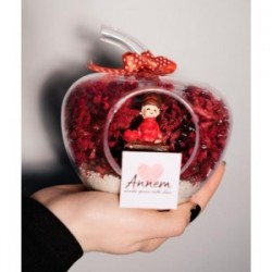 Teraryum Mini Elma Annem Seni Çok Seviyorum Yazılı Hediye Teraryum Mini Elma Annem Seni Çok Seviyorum Yazılı Hediye