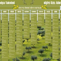 2025 Kişiye Özel Sosyal Medya Takvimi - Özel Günlerle Dolu Eğlenceli Duvar Afişi Zeytin 2025 Kişiye Özel Sosyal Medya Takvimi - Özel Günlerle Dolu Eğlenceli Duvar Afişi Zeytin