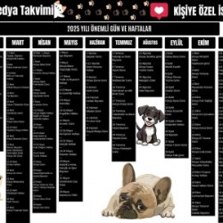 2025 Kişiye Özel Sosyal Medya Takvimi - Özel Günlerle Dolu Eğlenceli Duvar Afişi Köpekli 2025 Kişiye Özel Sosyal Medya Takvimi - Özel Günlerle Dolu Eğlenceli Duvar Afişi Köpekli