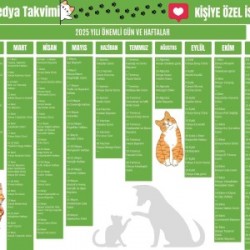 2025 Kişiye Özel Sosyal Medya Takvimi - Özel Günlerle Dolu Eğlenceli Duvar Afişi Kedi 2025 Kişiye Özel Sosyal Medya Takvimi - Özel Günlerle Dolu Eğlenceli Duvar Afişi Kedi