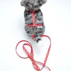 Kedi Patili Göğüs Tasması Ve Gezdirme Seti Ps9647