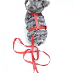 Kedi Düz Göğüs Tasması Ve Gezdirme Seti Ps9641