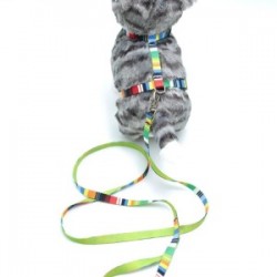 Kedi Renkli Göğüs Tasması Ve Gezdirme Seti Ps9637