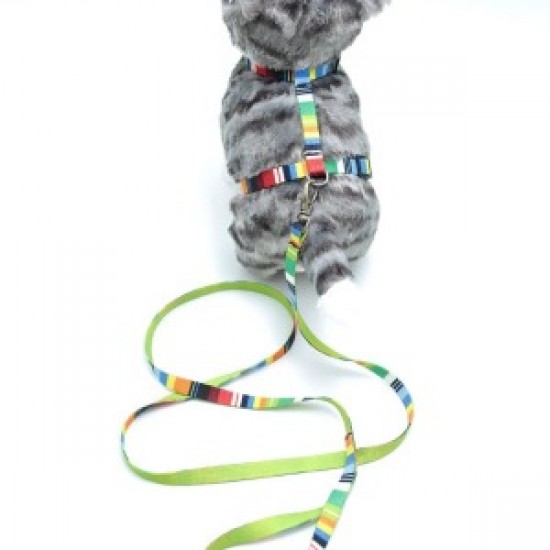 Kedi Renkli Göğüs Tasması Ve Gezdirme Seti Ps9637