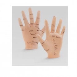 Akupunktur El Maketi Akupunktur El Maketi