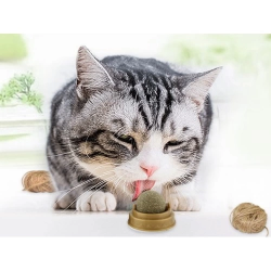 Kedi Nanesi Oyun Topu Kedi Nanesi Oyun Topu