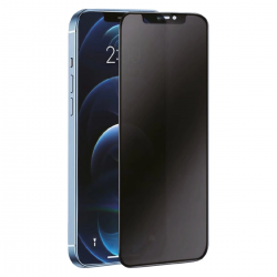 Newface Samsung Galaxy S24 3d Antistatik Hayalet Cam Ekran Koruyucu