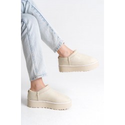 Mitay Bej Süet Bot Mitay Bej Süet Bot