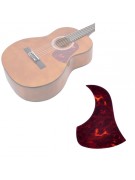 Gitar Pena Korumalığı PG165YR Pick Guard