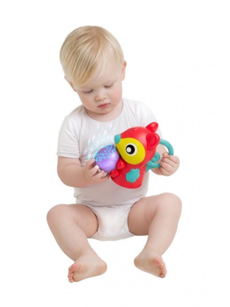 Playgro Müzikli Projeksiyon Oyun Halısı 80x80 cm