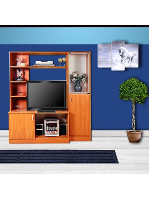 LCD Stand ve Çok Amaçlı Vitrin